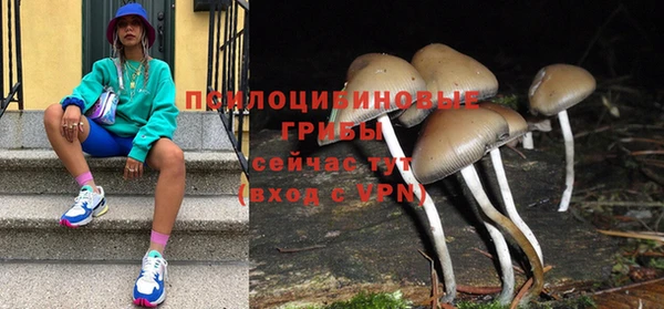 COCAINE Ельня