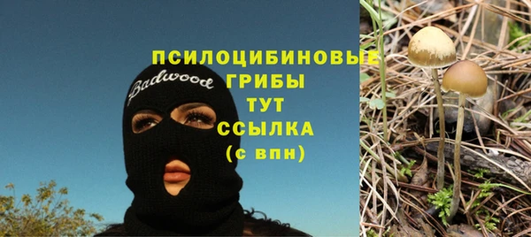 скорость Елизово