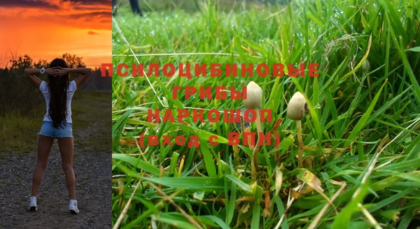 трава Елабуга