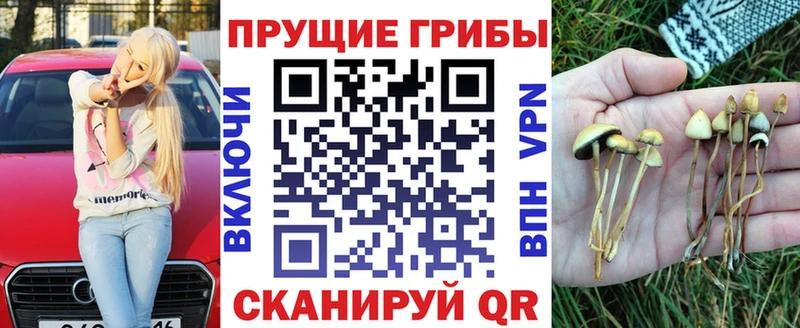 Псилоцибиновые грибы Psilocybine cubensis  Купить  Рошаль 
